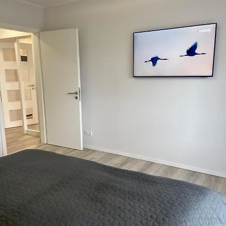 2908 - Kalle Даме